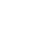 限定動画を観る