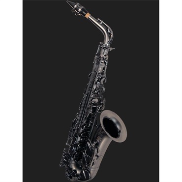【お取り寄せ品】アルトサックス キャノンボール A5-BiceB RAVEN レイブン 【調整&セットアップ後出荷】【5年間キーバランス調整無料】