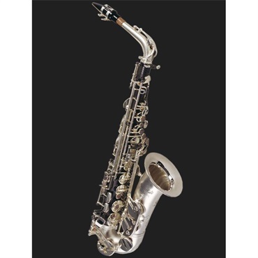 Cannonball 【お取り寄せ商品】アルトサックス キャノンボールA5-HS 【調整&セットアップ後出荷】【5年間キーバランス調整無料】