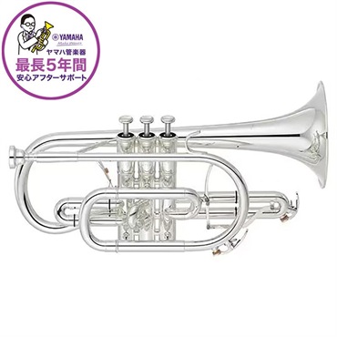 ヤマハ / YCR-8335S Neo 【Bb コルネット】【5年保証】【出荷前調整で安心】