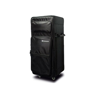 Amp Head Carry Case