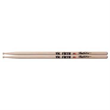 VIC-PE [Peter Erskine Signature Model]