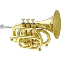 キャロルブラス / N3000 CL 【Bb ポケット トランペット 】【出荷前調整で安心】