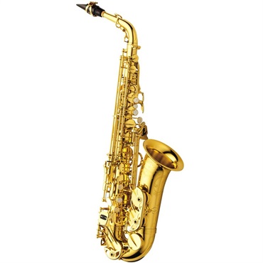 YANAGISAWA アルトサックス ヤナギサワ A-WO10 【調整&セットアップ後出荷】【5年間キーバランス調整無料】