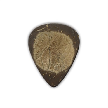 Exotic Guitar Picks (Coconut)×3枚セット