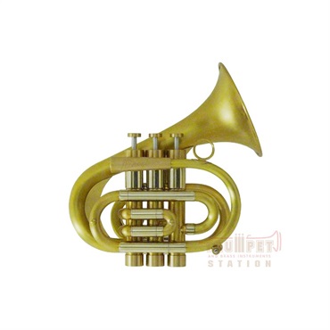 ブラスパイア / P7 【Bb ポケット トランペット】 【受注生産品】【出荷前調整で安心】