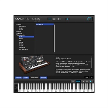 CS-M (代引不可)(オンライン納品)