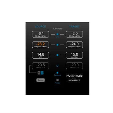 LM-Correct 2(オンライン納品)(2時間以内に納品)