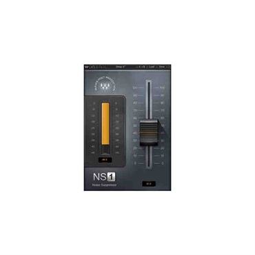 WAVES NS1 Noise Suppressor  (オンライン納品)(2時間以内に納品)
