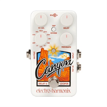 Canyon [Delay & Loopers] ディレイ エレハモ