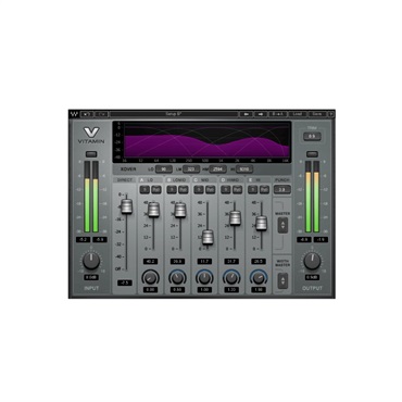 Vitamin Sonic Enhancer  (オンライン納品)(2時間以内に納品)
