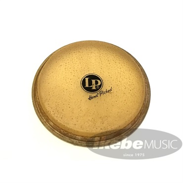 LP263A [Bongo Head 7-1/4]