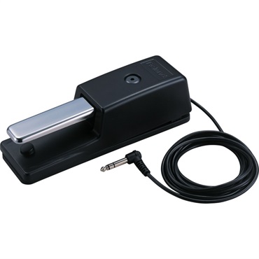 Roland DP-10【次回6月～7月頃入荷見込み】
