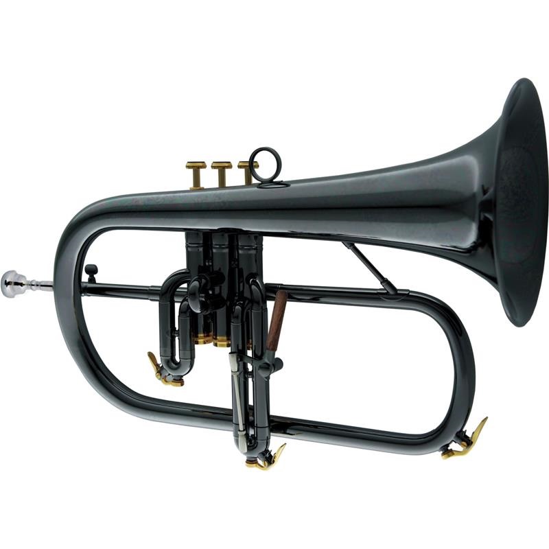 キャロルブラス / N6200 BLK NP GB 【Bb フリューゲル ホルン】【出荷前調整で安心】の商品画像