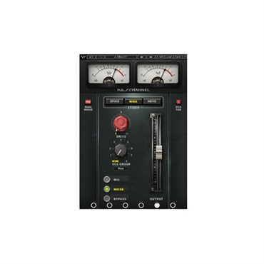 WAVES NLS Non-Linear Summer  (オンライン納品)(2時間以内に納品)