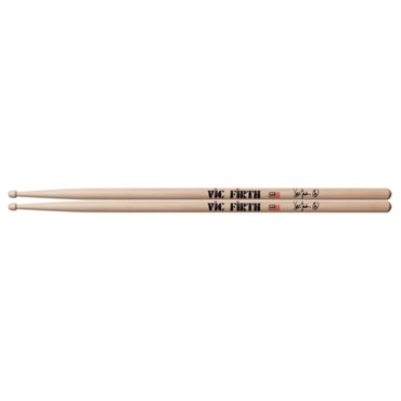 VIC-JOR [Steve Jordan Signature Model]
