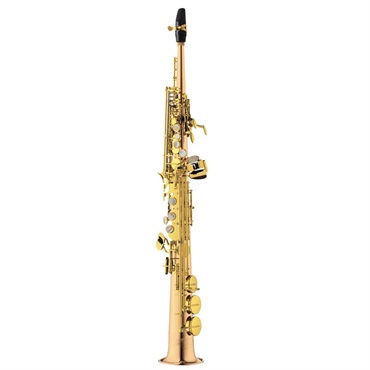 YANAGISAWA ソプラノサックス ヤナギサワ S-WO2 【調整&セットアップ後出荷】【5年間キーバランス調整無料】