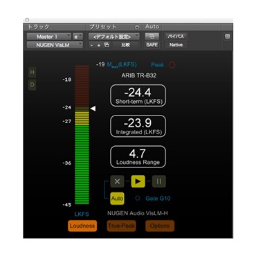 Nugen Audio VisLM-C 2(代引不可)(オンライン納品)