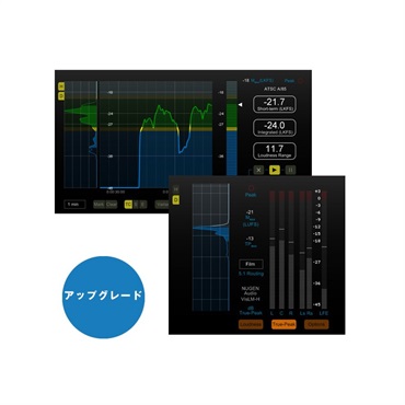 VisLM-H 2 Upgrade from VisLM-H(代引不可)(オンライン納品)