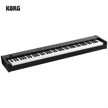 DIGITAL PIANO D1 BK ※沖縄・離島送料別途お見積り