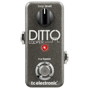 DITTO LOOPER（ティーシーエレクトロニック）ルーパー