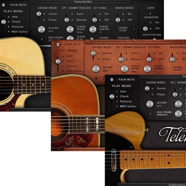 AS Guitar Collection(代引不可)(オンライン納品)