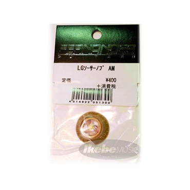 FERNANDES ／ Burny LGソーサーノブ　AM