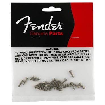 Road Worn Pickguard/Control Plate Screws [0997208000]