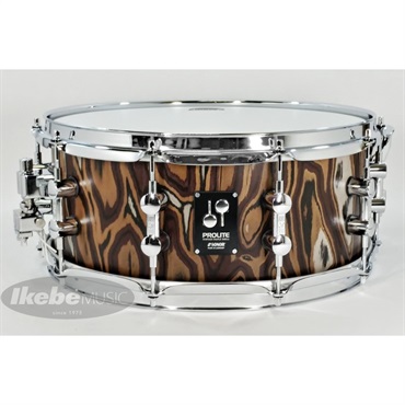 PL-1406SDW EDT [PROLITE Series Maple 14×6 Press Hoop / エルダー・ツリー]