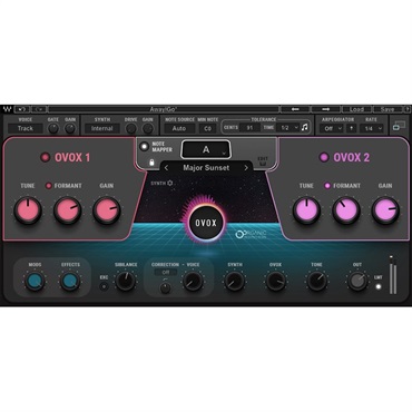 OVox Vocal ReSynthesis (オンライン納品)(2時間以内に納品)