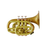 キャロルブラス / N3002 Arturo Sandoval 【Bb ポケットトランペット】【出荷前調整で安心】