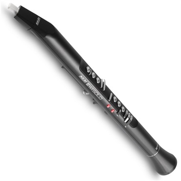 AKAI アカイプロフェッショナル ウインドシンセサイザー EWI SOLO