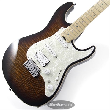 SNAPPER-CTM-FM/M (Tiger Eye Sunburst w/Brown Pearl Black) 【即納可能】