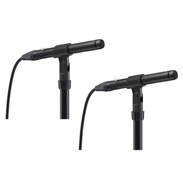 ECM-100UMP【ハイレゾ単一指向性コンデンサーマイク ステレオペアモデル】【お取り寄せ商品】