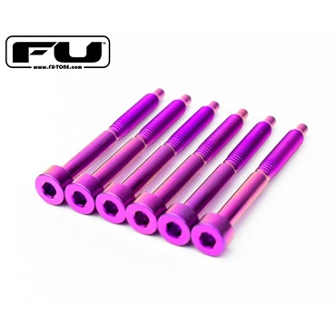 Titanium String Lock Screw Set (6) - PURPLE