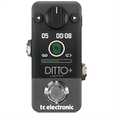 DITTO+ ※国内正規品（ティーシーエレクトロニック）ルーパー