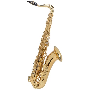 Selmer Paris テナーサックス　セルマー AXOS（アクソス） 【調整&セットアップ後出荷】【5年間キーバランス調整無料】
