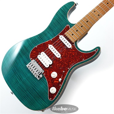 J Select Series Standard Plus (Custom Blue/Roasted Maple) [SN.JS6F2G] 【イケベオーダーカラー】