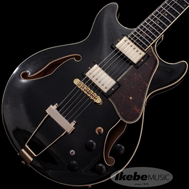 Artcore Expressionist AMH90-BK 【即納可能】