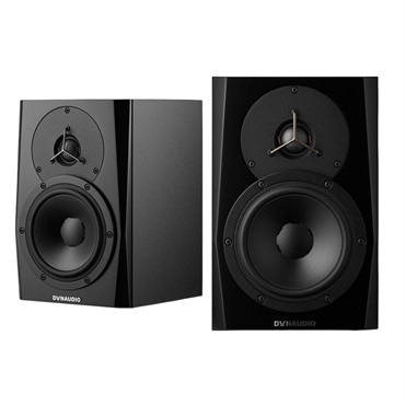 LYD 5 BLACK ペア(お取り寄せ商品)