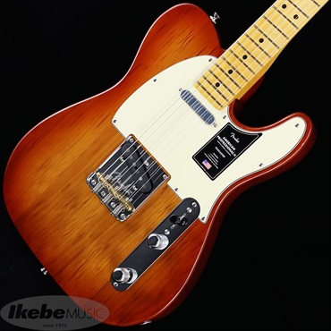 Fender USA American Professional II Telecaster (Sienna Sunburst/Maple) 【The Spring Summer 2026 Campaign】