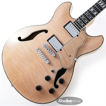 ARTSTAR ASV113-RNT 【特価】