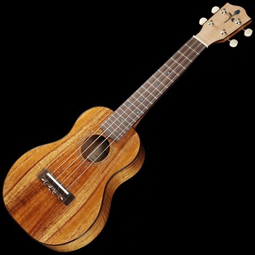 FGN Acoustic FUS-TC [Concert] フジゲン