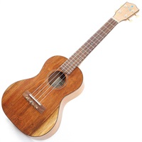 【生産完了モデル】FGN Acoustic Tenor FUS-TT フジゲン