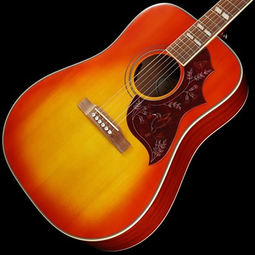 【数量限定エピフォン・アクセサリーパックプレゼント】 Hummingbird Studio (Faded Cherry Burst) エピフォン