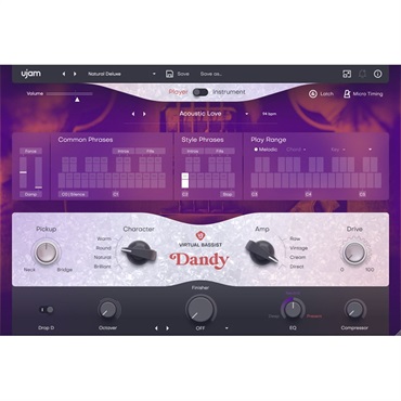 Virtual Bassist DANDY(ユージャム)(ヴァーチャルベーシスト)(オンライン納品)(2時間以内に納品)