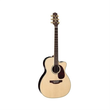 DMP761C N 【お取り寄せ商品】 タカミネ