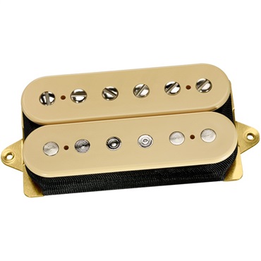 EJ CUSTOM NECK[DP211](Cream/Standard-Spaced)【安心の正規輸入品】