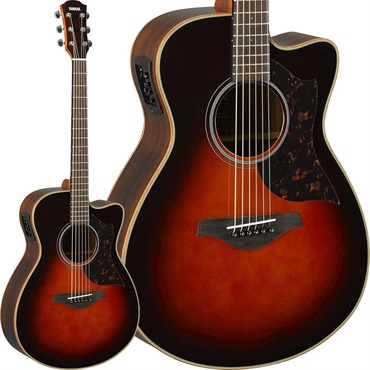AC1R (Tobacco Brown Sunburst) [SAC1RTBS]  ヤマハ