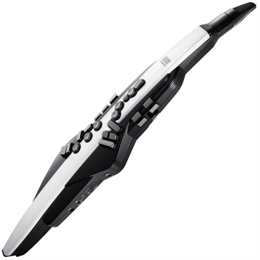 Aerophone [AE-20]